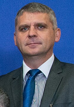 Anto Domić