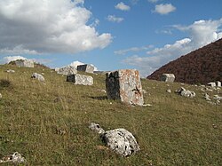 Stećci, srednjovjekovni nadgrobni spomenici