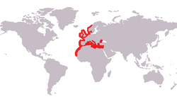 Rasprostranjenost ugora