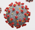 SARS-CoV-2 virus