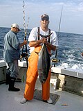 Thunnus alalunga