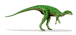 Restauracija vrste Othnielosaurus consors
