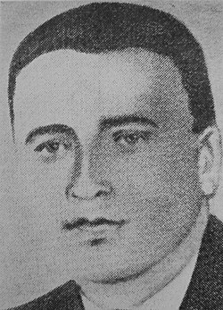 Stojan Matić