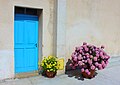 Detalj kuće na zapadnoj strani luke — cvijeće u loncima pored vrata