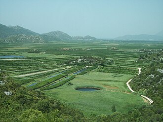 Poljoprivredno polje