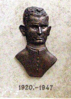 Miroslav Bulešić, slika na spomeniku