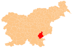 Općina Novo mesto u Sloveniji