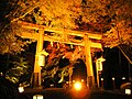 Torii svetišta Hiyoshi Taisha