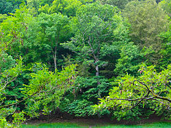 Nacionalni park Kellerwald-Edersee (Hessen)