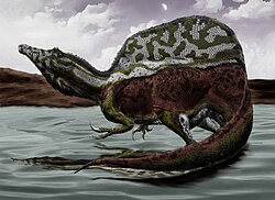 Ilustracija vrste Spinosaurus aegyptiacus