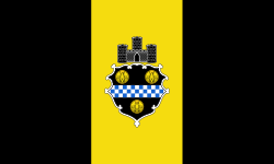 Zastava grada Pittsburgha