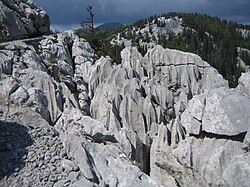 Velebit