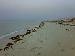 Pješčana plaža kod Kafdžija (zapadna obala, KSA)