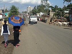 Središte grada (ožujak 2006.)