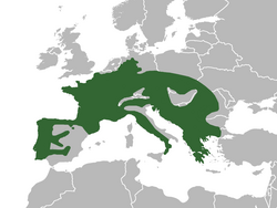 Područje rasprostranjenosti pjegavog daždevnjaka