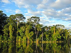 Rezervati atlantske šume obale otkrića