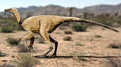 Rekonstrukcija roda Qiupalong