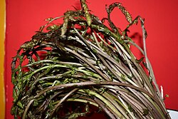 Jestivi izdanci kuke