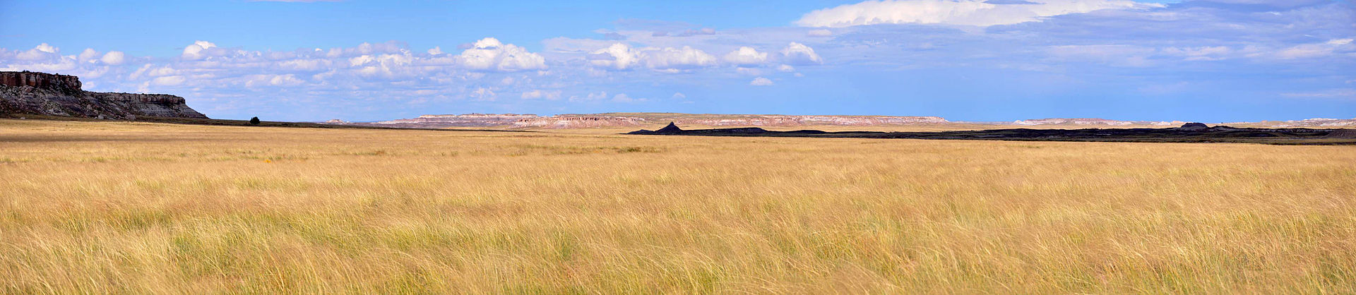 Panorama prerije nacionalnog parka Petrified Forest