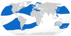 Rasprostranjenost goleme psine