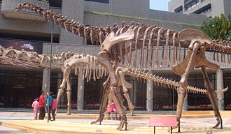 Kostur Huanghetitana