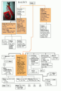 Genealogija dinastije Balšića