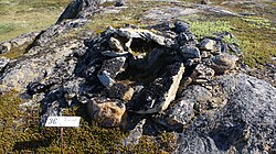 Aasivissuit – Nipisat, Inuitsko lovno područje između mora i leda