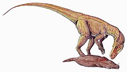 Rekonstrukcija vrste Herrerasaurus ischigualastensis