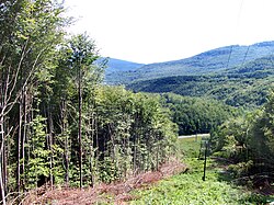 Šuma Vihorlatský u ukrajinskom parku Vihorlat (Slovačka)