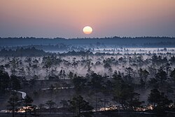 Pogreška pri izradbi sličice: Morning fog in the Ķemeri National park. Latvia Photo by