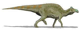 Restauracija Edmontosaurus sp.