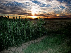 Lažno Sunce ili pasunce (Hessen, 12. kolovoza 2012.)