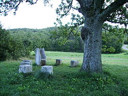 3. Katedra Klimenta Ohridskoga