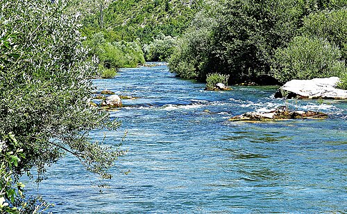 Divlja Cetina kod Vrlike